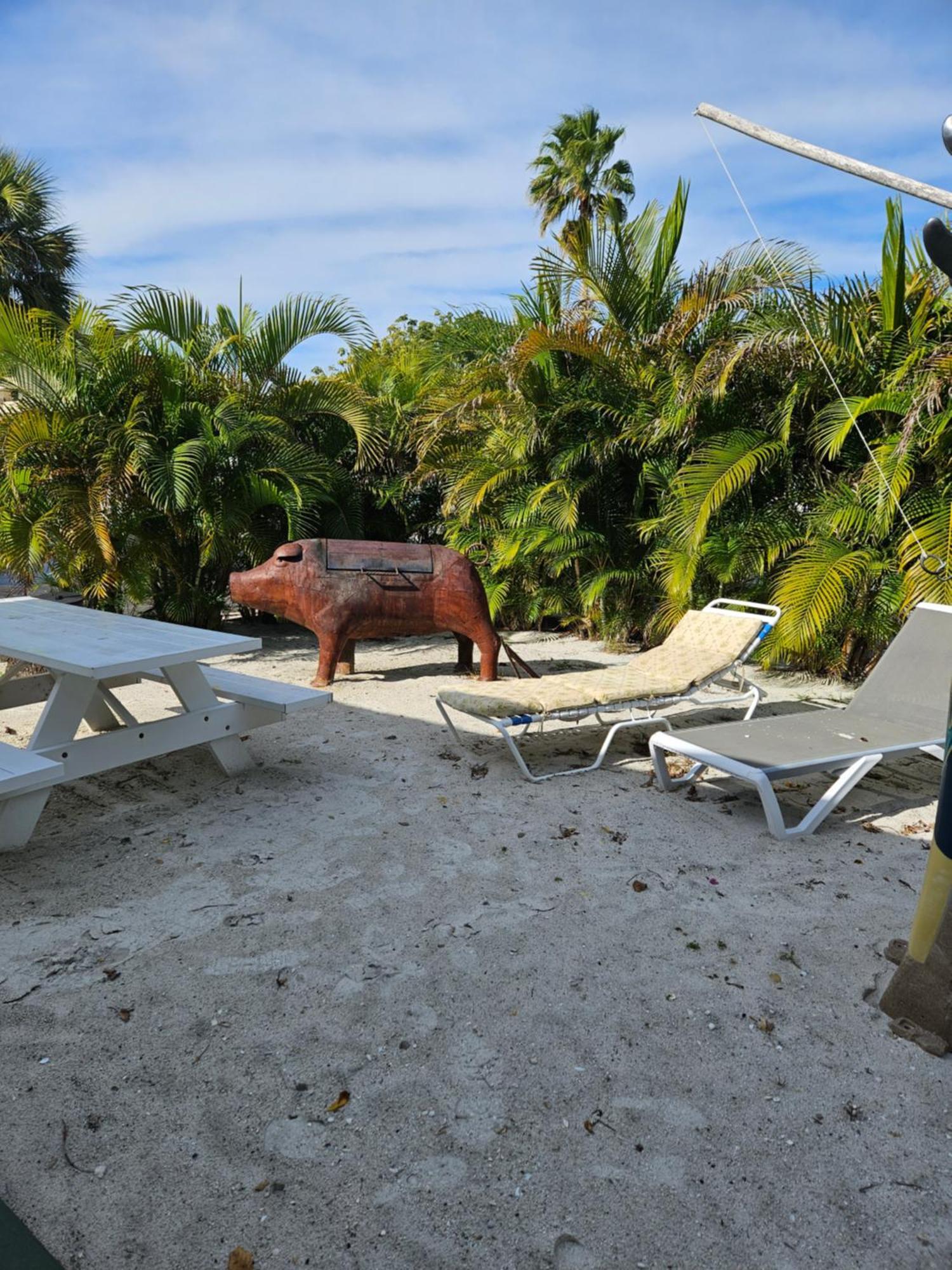 Oasis Palms Resort St. Pete Beach Luaran gambar